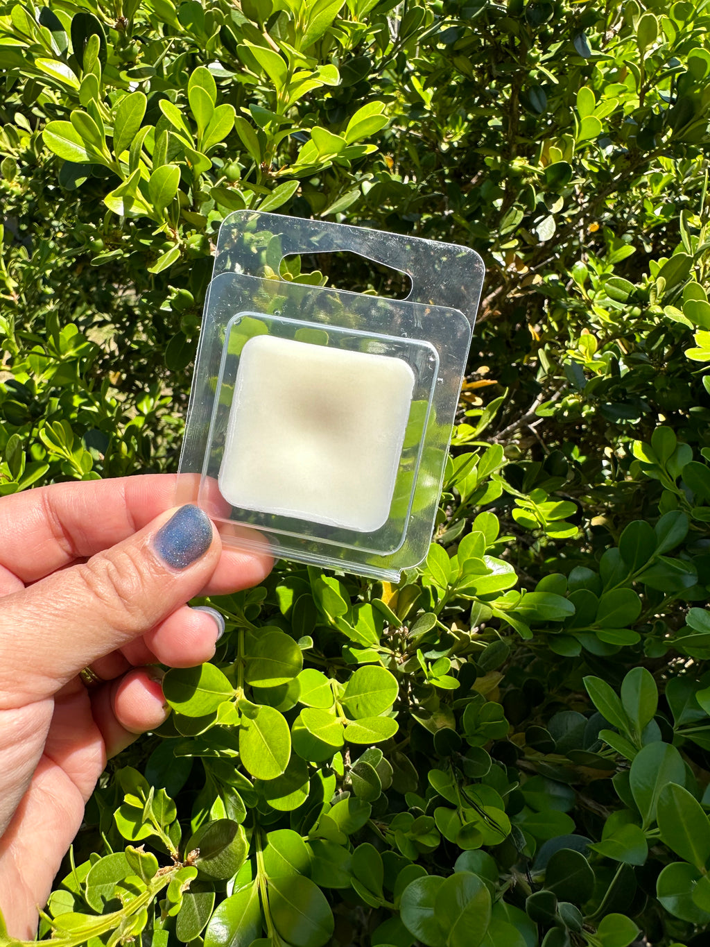 Tonka & Oud Wax Melt